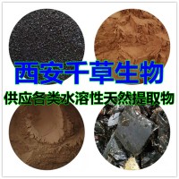 豆豉草提取物豆豉草浓缩粉 西安千草生物供应豆豉草浸膏粉干膏