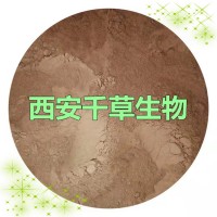 宝盖草提取物宝盖草浓缩粉 西安千草生物供应宝盖草浸膏粉