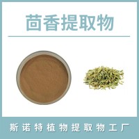 茴香粉 茴香提取物 水溶性粉末