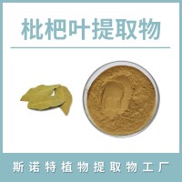 枇杷叶粉 枇杷叶提取物 水溶性粉末