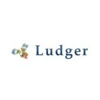 Ludger高通量甲基化检测方法优势供应