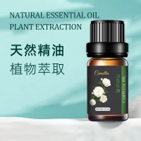 GMP/SC认证企业长期供应符合国家标准的山茶油，山茶籽油