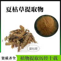 夏枯草提取物  夏枯草浓缩粉