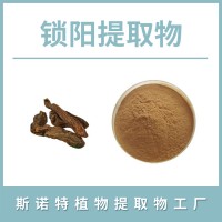 锁阳粉 锁阳提取物 水溶性粉末