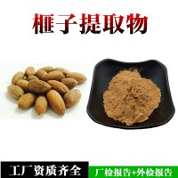 榧子提取物  榧子浸膏