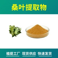 桑叶粉 桑叶提取物 水溶性粉末