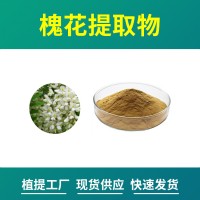 槐花粉 槐花提取物 水溶性粉末