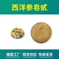 西洋参粉 西洋参提取物 西洋参皂甙 水溶性粉末