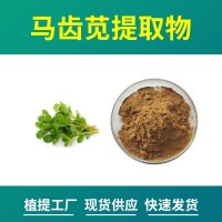 马齿苋粉 马齿苋提取物 水溶性粉末