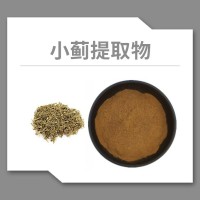 小蓟粉 小蓟提取物 水溶性粉末