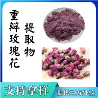 重瓣玫瑰花提取物  重瓣玫瑰花粉