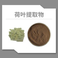 荷叶粉 荷叶提取物 荷叶碱 水溶性粉末