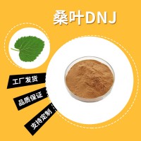 桑叶粉 桑叶提取物 桑叶DNJ 水溶性粉末 多种规格