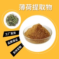 薄荷粉 薄荷提取物 水溶性粉末 多种规格 支持定制