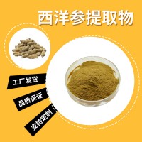 西洋参粉 西洋参提取物 皂甙 水溶性粉末 多种规格 支持定制