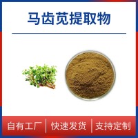 马齿苋粉 马齿苋提取物 支持定制 水溶性粉末 多种规格