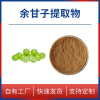 余甘子粉 余甘子提取物 支持定制 水溶性粉末 多种规格