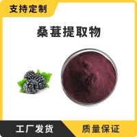 桑葚粉 桑葚提取物 支持定制 水溶性粉末 多种规格