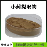 小蓟提取物  小蓟浸膏