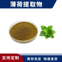 薄荷提取物 薄荷粉 支持定制 水溶性粉末 多种规格