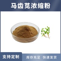 马齿苋提取物 马齿苋粉 支持定制 水溶性粉末 多种规格