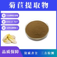 菊苣提取物 菊苣粉 支持定制 水溶性粉末 多种规格