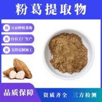 粉葛提取物 粉葛粉 支持定制 水溶性粉末 多种规格