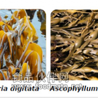 昆布糖/褐藻糖Elicityl惠诚生物优势供应