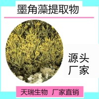 墨角藻提取物比例提取墨角藻多糖30% 墨角藻粉