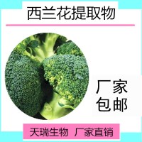 西兰花提取物 西蓝花粉天瑞生产果蔬粉 全水溶