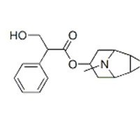 东莨菪碱51-34-3惠诚生物优势供应