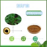 板蓝根提取物 现货天瑞生产板蓝根浓缩粉浸膏