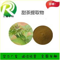 甜茶提取物食品原料批发甜茶浸膏粉甜茶粉