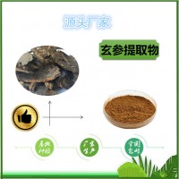 玄参提取物饲料级玄参粉