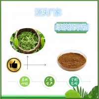 绿茶提取物 现货SC源头厂家绿茶多酚30%