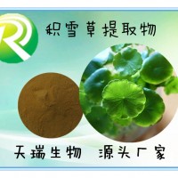 积雪草提取物比例提取 积雪草甙现货天瑞生物SC源头厂家