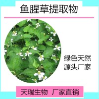 鱼腥草浓缩粉鱼腥草提取物10:1水溶性好食品级原料厂家批发