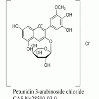 矮牵牛素-3-O-阿拉伯糖苷惠诚生物供应