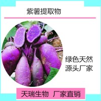 紫薯提取物 紫薯花青素天瑞生物厂家现货