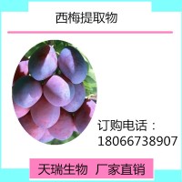 西梅提取物 西梅粉全水溶饮料原料