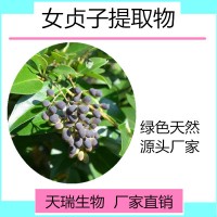 女贞子提取物 女贞子粉比例提取天瑞植提厂家规格可定制