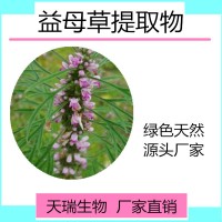 益母草粉比例提取天瑞植提厂家规格可定制