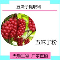 五味子粉 五味子浸膏 天瑞植提厂家规格可定制