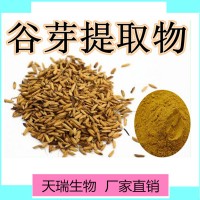 谷芽粉10:1谷芽提取物天瑞生物厂家