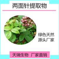 两面针提取物 两面针速溶粉天瑞植提厂家规格可定制