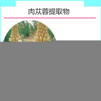 肉苁蓉提取物 肉苁蓉浓缩粉 水溶性好 药食同源天瑞生物厂家