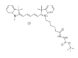 羧基类、羰基类染料解决方案----Lumiprobe(4)|实验室通用技术方案|上海西宝生物科技有限公司-咨询电话：400-021-8158