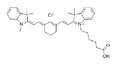 羧基类、羰基类染料解决方案----Lumiprobe(4)|实验室通用技术方案|上海西宝生物科技有限公司-咨询电话：400-021-8158