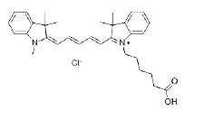 羧基类、羰基类染料解决方案----Lumiprobe(4)|实验室通用技术方案|上海西宝生物科技有限公司-咨询电话：400-021-8158