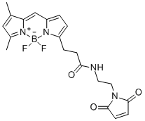 BDP FL maleimide